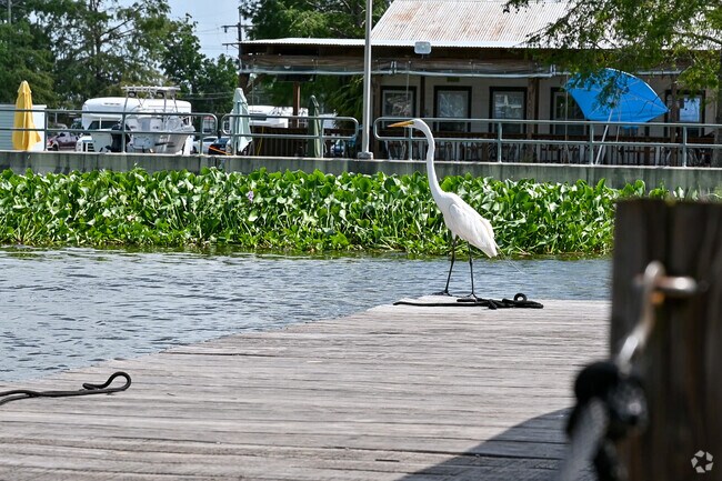Local wildlife flourishes along the Mississippi River in Bridge City.