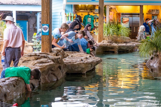 Visitors interact with marine life at the new touch tank in ZooTampa at Lowry Park.