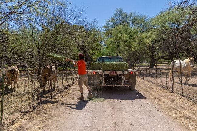 The pace of life in Arivaca Junction is slower, with a strong emphasis on ranching and wildlife.