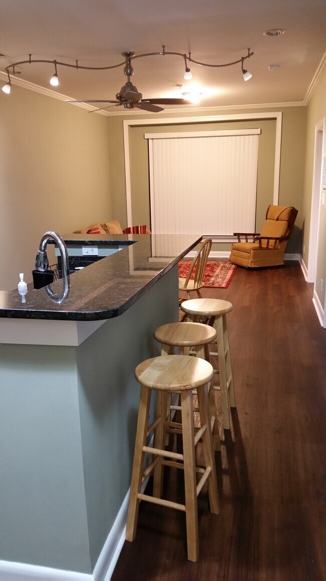 411 W Washington St unit 209, Greensboro, NC 27401 - photo 3