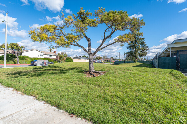 A large lawn with trees in front of Rancho Starbuck Intermediate School in La Mirada