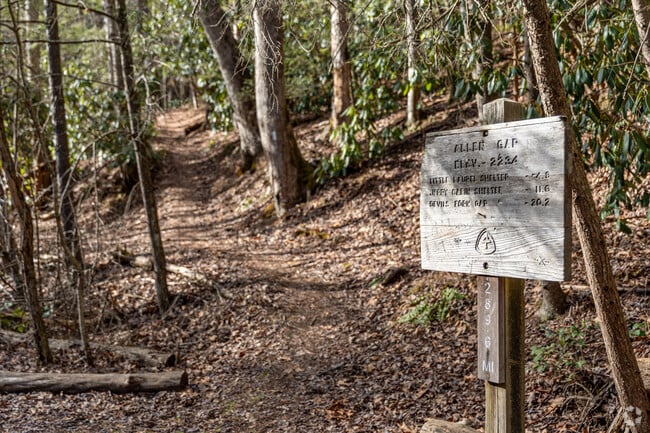 Greeneville residents and visitors alike love having easy access to hiking in the Cherokee and Pisgah National Forests.