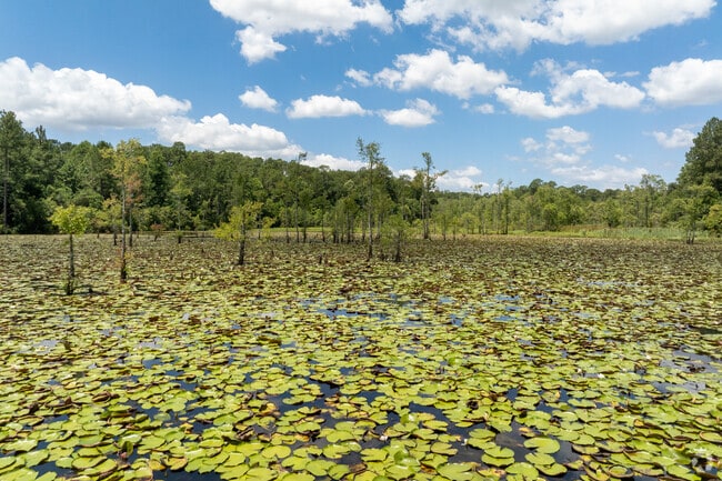 The scenery in Glen Sebastian Nature Trail wetlands is a sight to behold.