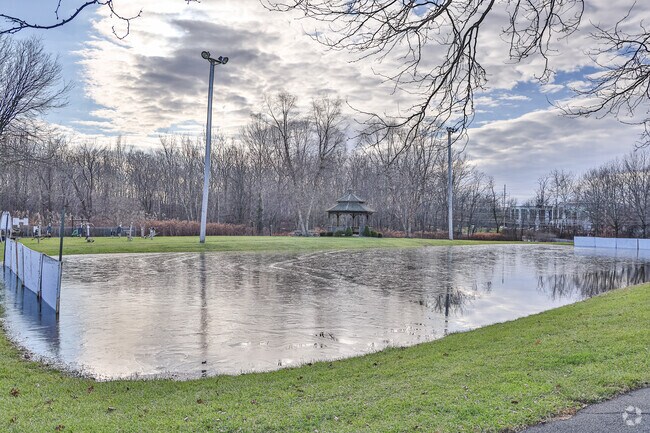 Central Park has an ice hockey rink in the winter time.