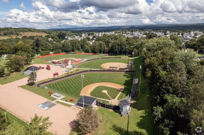 Throop Little League has 3 fields for your children to play baseball in Throop.