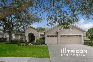 3412 Eastmonte Dr, Valrico, FL 33596