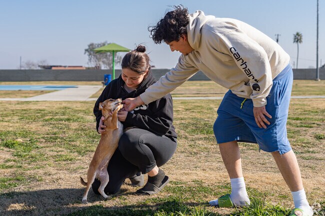 A Casa Loma couple brings their small dog for a walk at Casa Loma County Park.