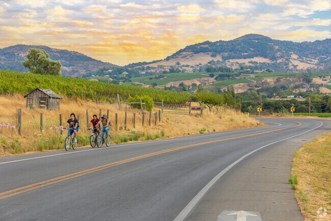 Terrace's Coombsville Road is always full of bicyclists.