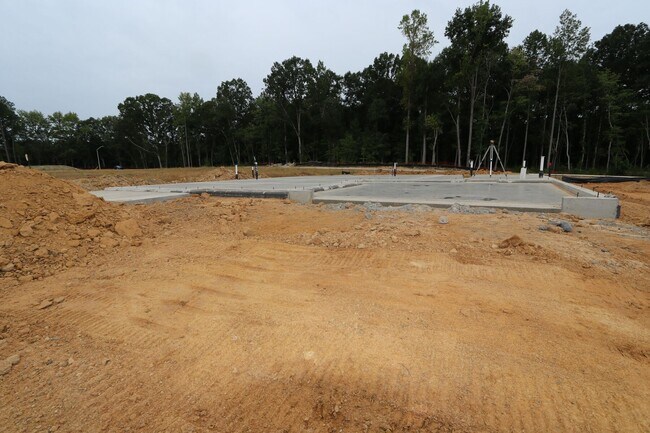 8001 Mint Whisper Way, Apex, NC 27523 - photo 6