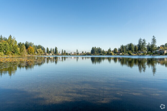 Enjoy tranquil lakeside scenery at Lake Serene in Picnic Point.
