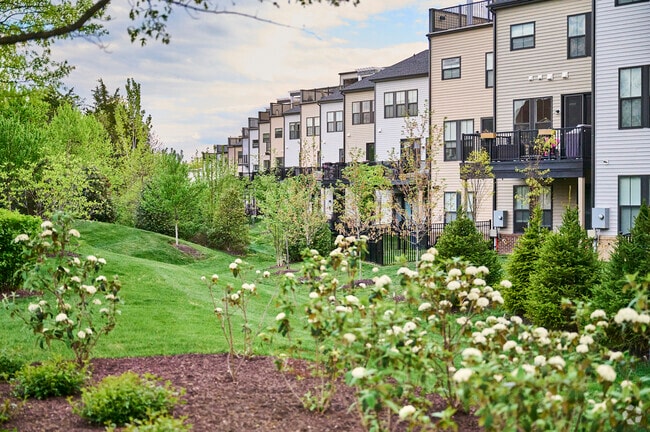 Modern townhomes in Brambleton are surrounded by green spaces.
