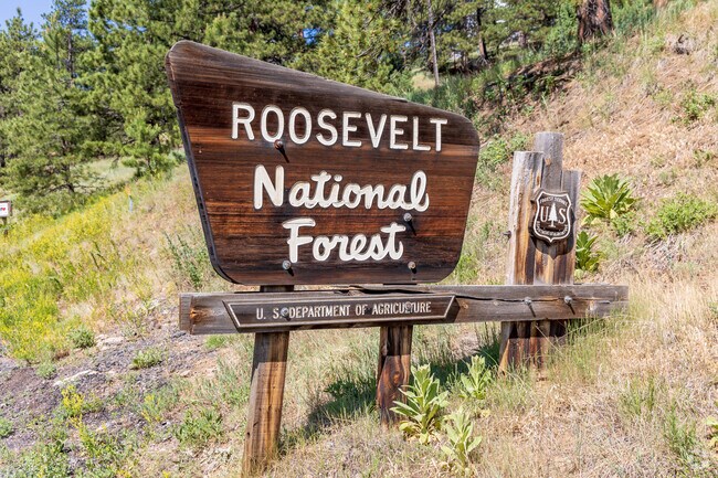 As part of the Roosevelt National Forest, Sugarloaf can act as a gateway to outdoor exploration.