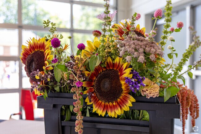 The Woodford County Farmers Market now has vendor space outside, under the pavilion and indoors.
