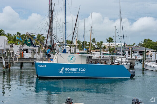 Stock Island is home base to many eco and adventure tours for many visiting Key West.