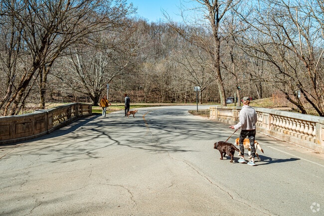 Cherokee Park is a popular destination for Cherokee Triangle pet owners.