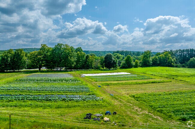 Southborough's farmland offers picturesque views and fertile grounds for agricultural pursuits.