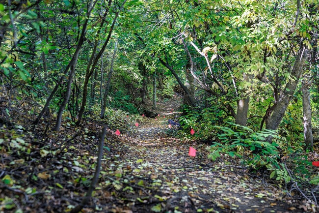 Tiny red flags mark this trail at Gib’s Loop.