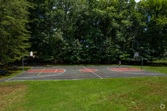 Practice basketball at the cousrts next to Bret Harte Elementary School.
