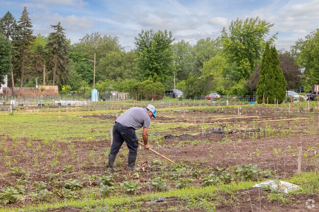 Local residents of Fulton Heights can volunteer time at the Hillcrest Community Garden.