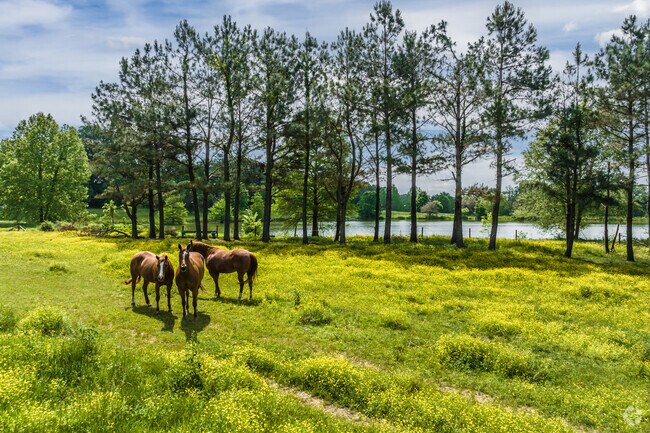 You will find horses grazing in pastures in the Piperton area.