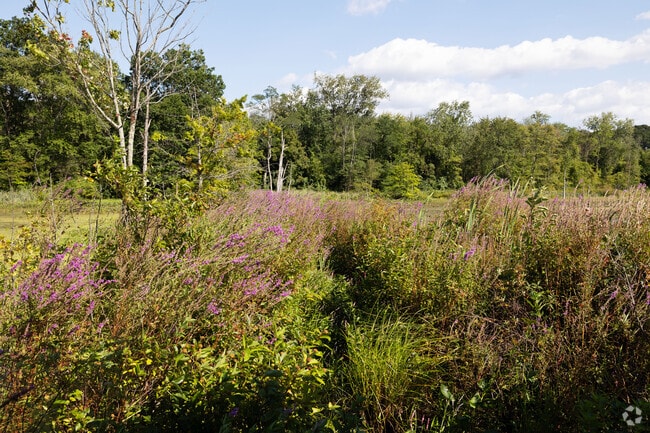 There is beautiful fauna and wild life at the Longmeadow Nature Preserve.