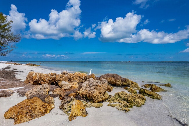 With crystal blue waters, private beaches & the crashing waves Anna Maria Island is paradise.