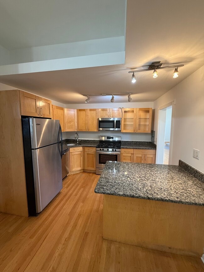 127 Maple Ave, Chicago, IL 60610 - photo 2