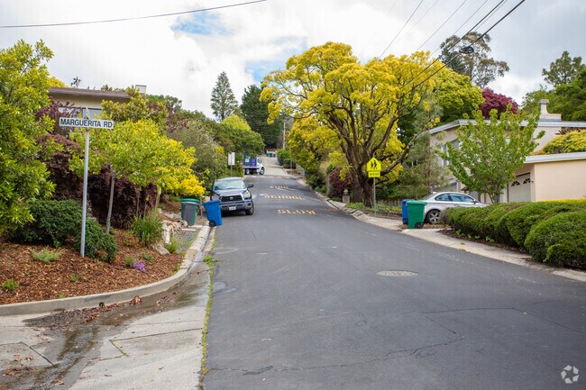 Streets in Kensington are lined with old and lush trees and gardens.