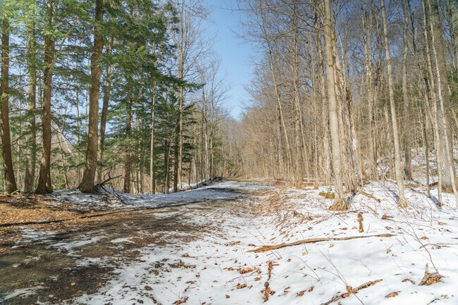 Many trials throughout Boutwell Hill State Forest connect within Arkwright.