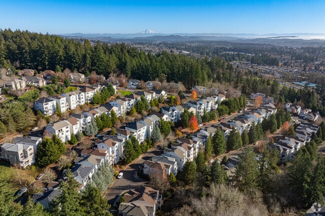Stunning views of Mt. Hood and the Willamette Valley from the top of Bull Mountain.