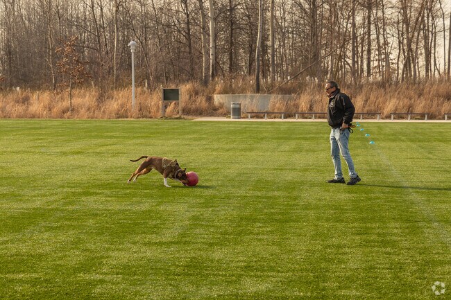 Dog trainers have lots of space to work at Fairview Park.