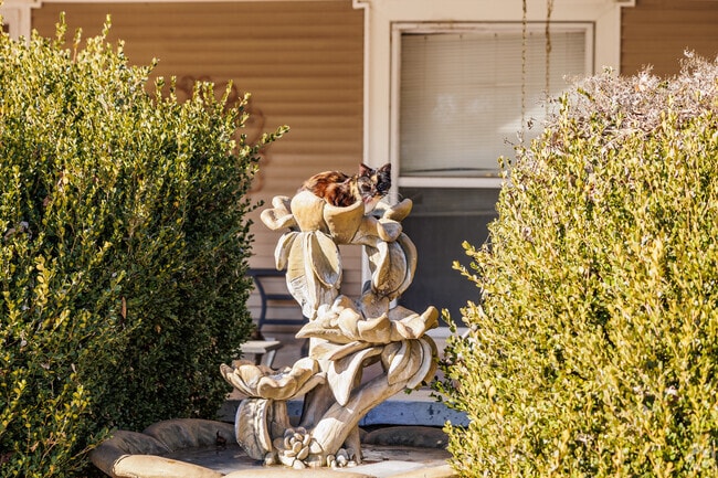 A cat enjoys a sunbath in downtown Neosho.