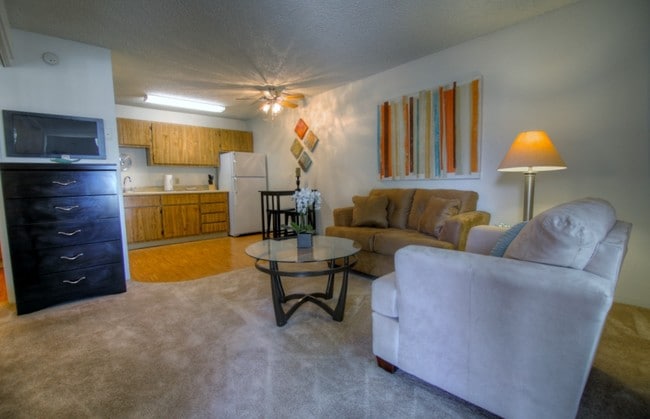 Studio Living Room