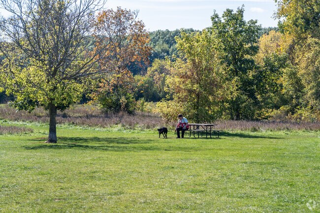 A woman plays fetch with her dog in the Duck Farm Forest Preserve Dog Park in Venetian Village.