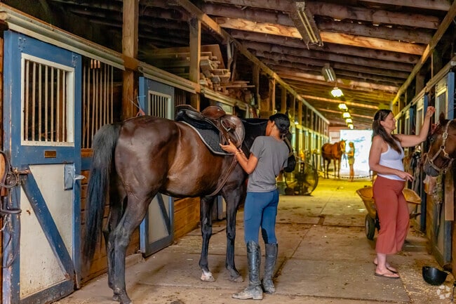 Paragon Farms in rural Lodi Township offers riding lessons for competitions or fun!