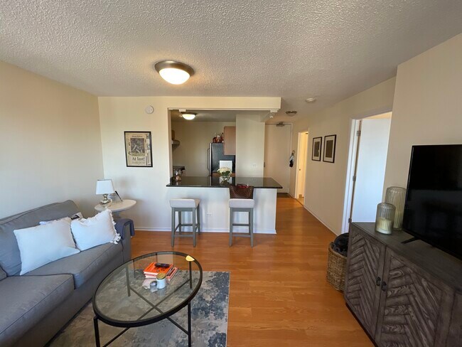 30 E Huron St unit A, Chicago, IL 60611 - photo 6