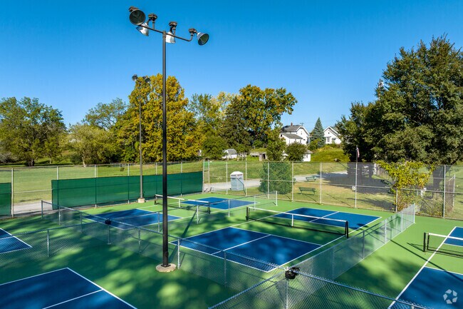Join the local Rossford pickle ball league which plays at Beech Street Park.