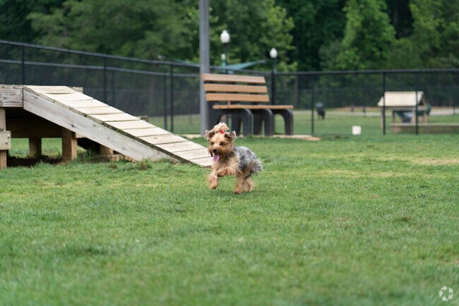 Many play options can be found at the Pelham Dog Park.