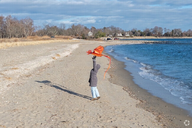 Along the water in Greens Farms you can find activities along the beach all year long.