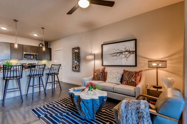 Kitchen and living area