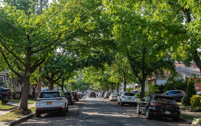 Grasmere has several trees lining the residential streets.