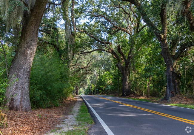 Old Saint Augustine Road is beautifully shaded with many mature oak trees.