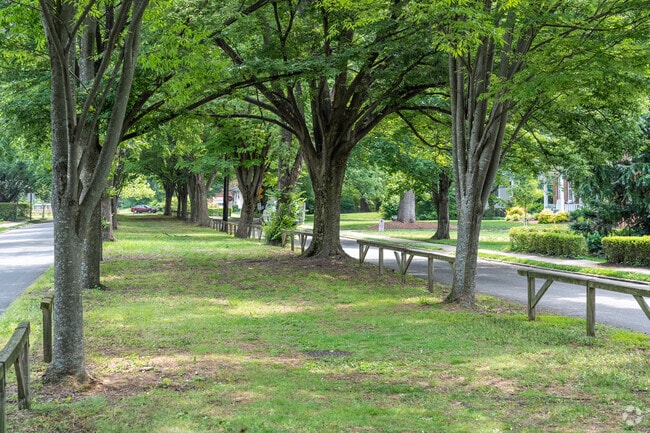 Tree covered median found in many of the neighborhood streets in Laburnum Park.