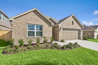 16923 Pin Cherry Leaf Dr, New Caney, TX 77357