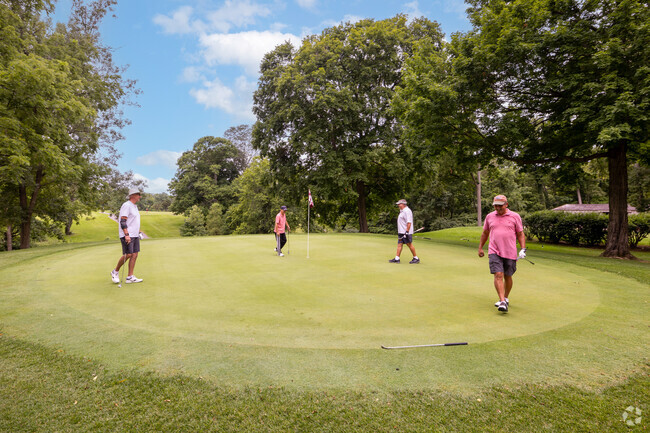 These Turtlecreek Township residents are enjoying a round of golf at Armco Park.