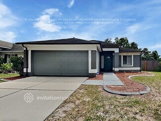 3119 Pine Top Dr, Valrico, FL 33594