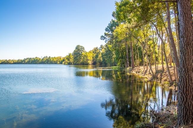 Walden at Chatham Center, Savannah, GA 31405 - photo 4