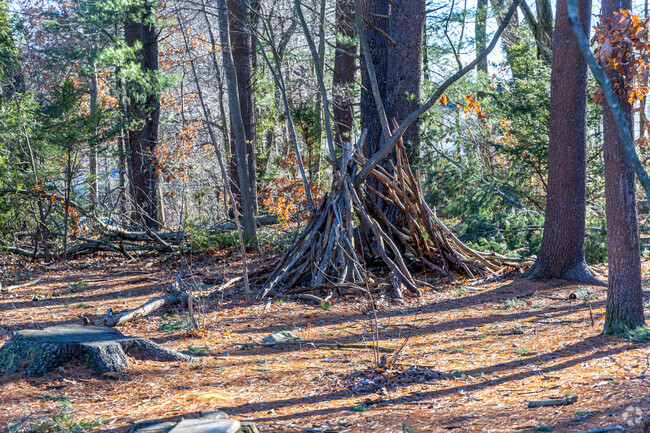 A unique tree structure for kids next to the J. Warren Killam Elementary School in Reading, MA.