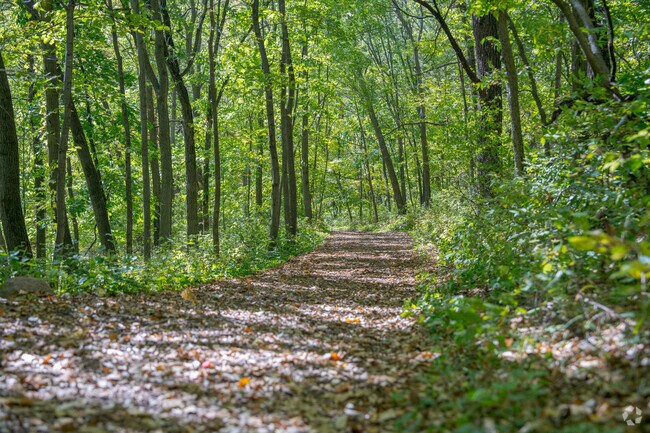 Rasmussen Woods has several miles of walking trails.