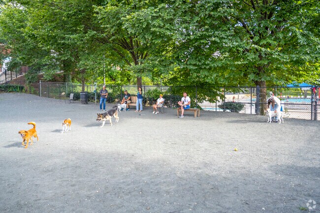 Upshur Dog Park is a popular space for petworth dog owners to take their pets.